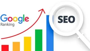 SSW Agência de SEO e Criação de Sites Profissionais em Blumenau